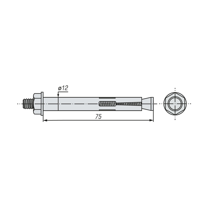 Болт анкерный с гайкой SWFS 12х75 (40 шт)