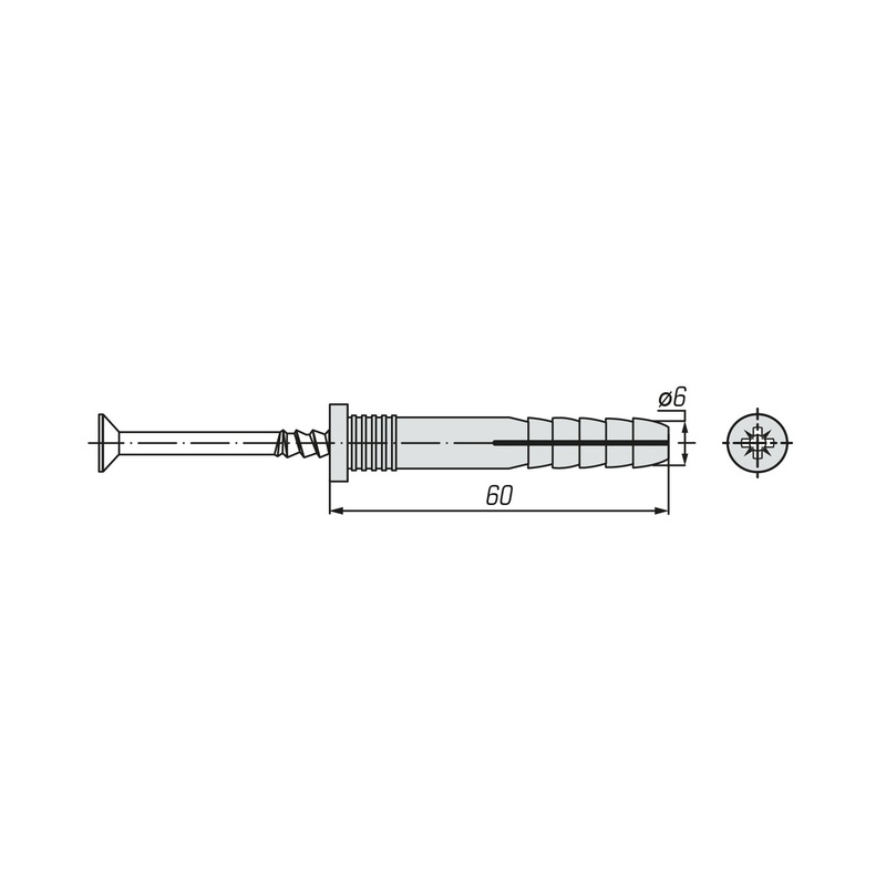 Дюбель-гвоздь SWFS 6L60 (4 шт)