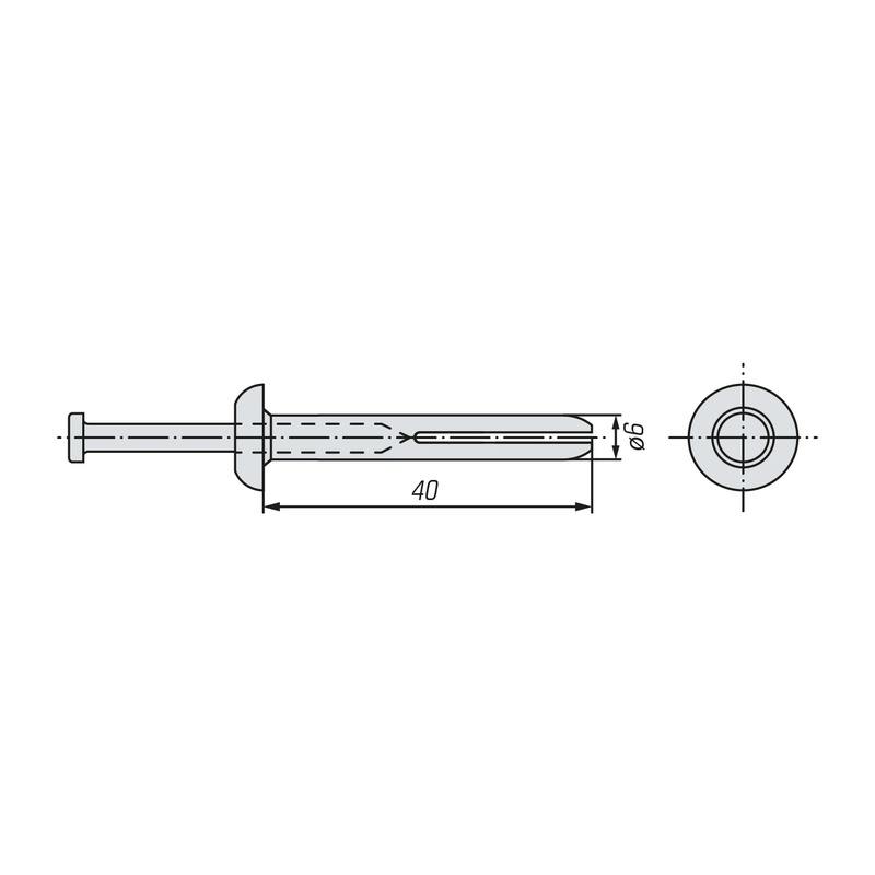 Дюбель-гвоздь металлический SWFS 6х40 (100 шт)