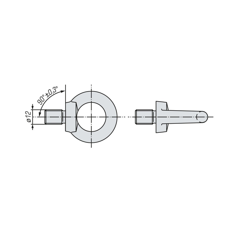Рым-болт SWFS DIN580 М12 (125 шт)