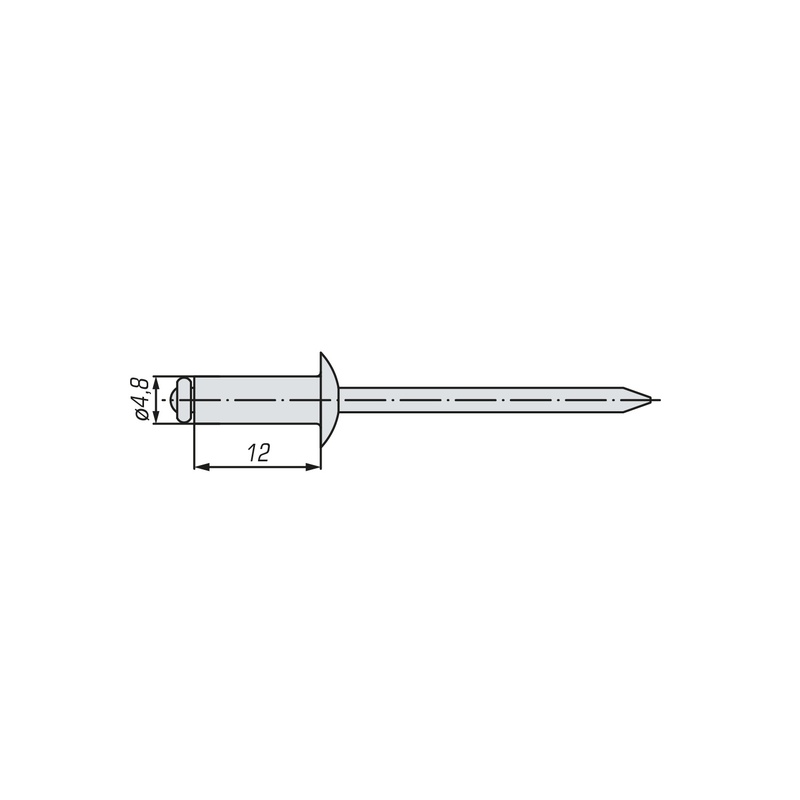 Заклепка вытяжная комбинированная SWFS 4,8х12 (14 шт) пакетик