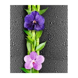 Панель ПВХ Икебана 351, 2700х250х7 мм